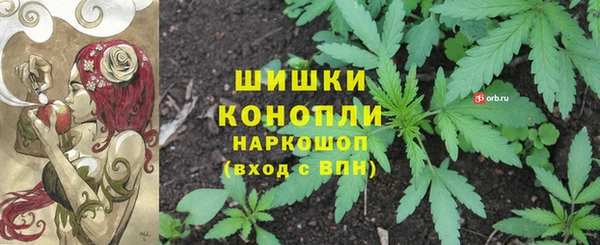 PSILOCYBIN Бородино