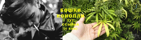 PSILOCYBIN Бородино