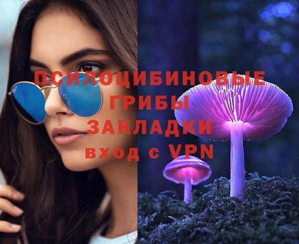 PSILOCYBIN Бородино